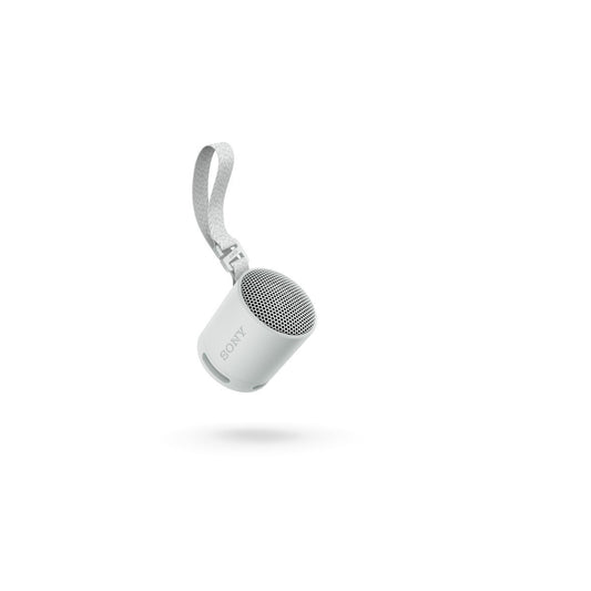 Portable Bluetooth Speakers Sony SRSXB100H.CE7 Grey