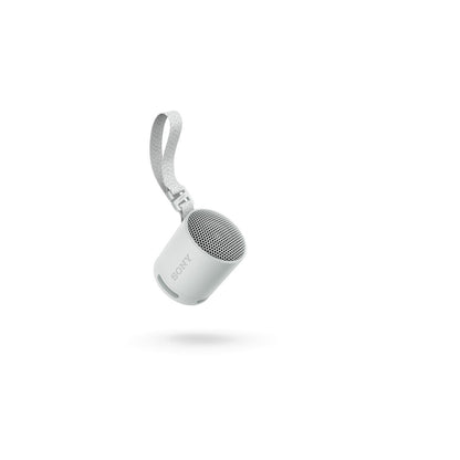 Portable Bluetooth Speakers Sony SRSXB100H.CE7 Grey
