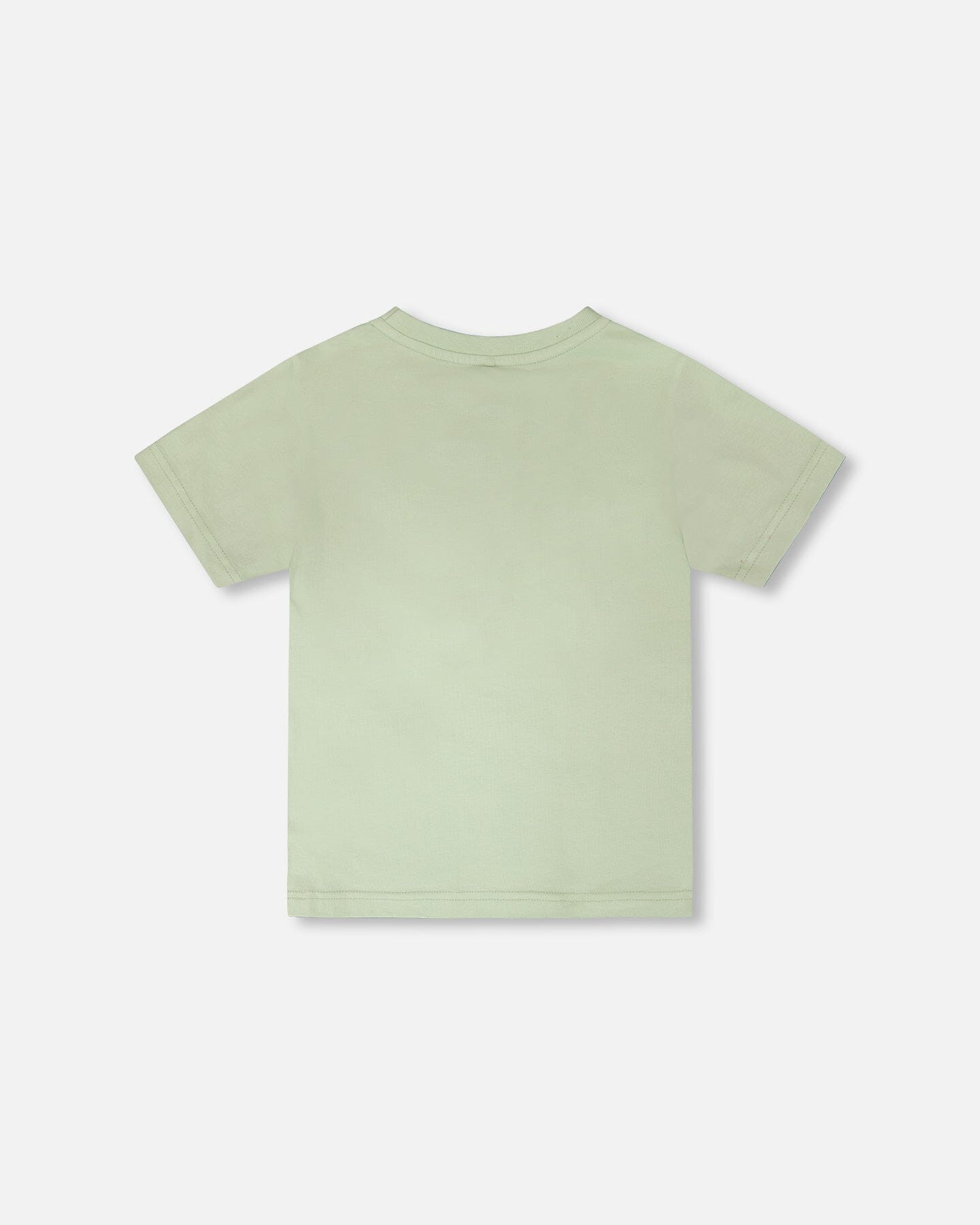 Organic Cotton Jersey T-Shirt With Mountain Print Sage